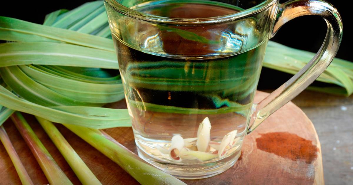 preparar te de citronela